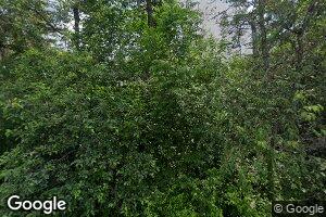 799 Grant Rd, Corinth, ME 04427