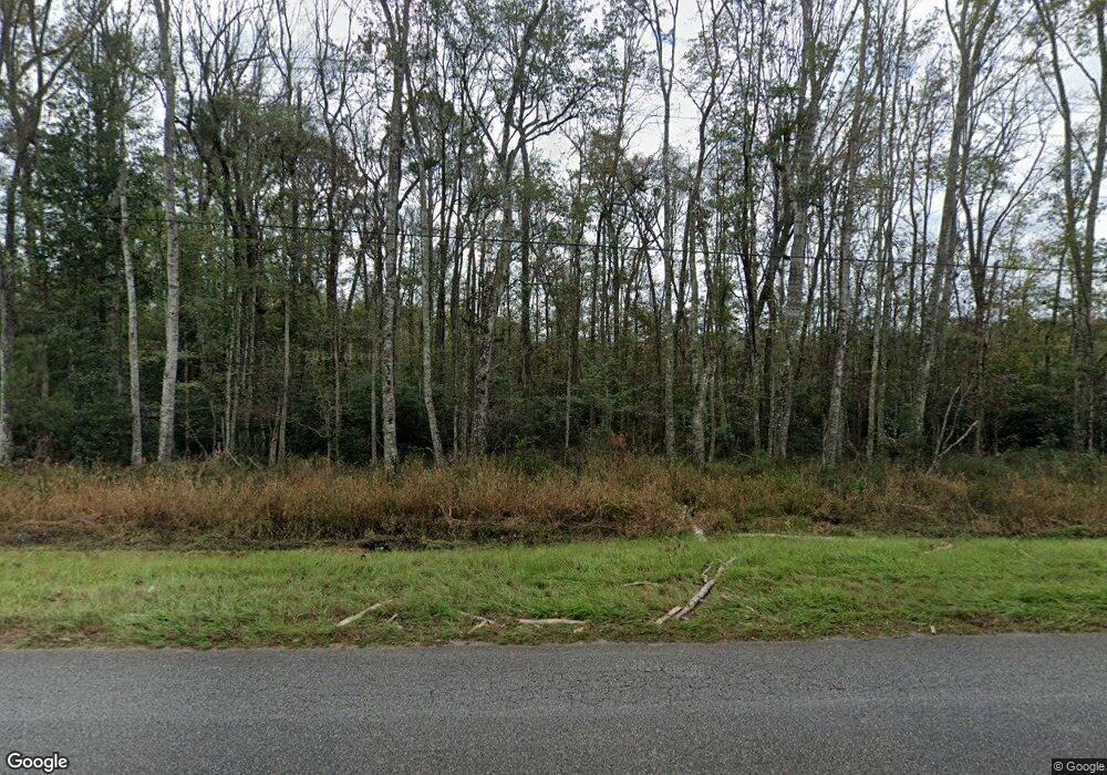 870 Greenswamp Rd, Brunswick, GA 31525 - photo 1