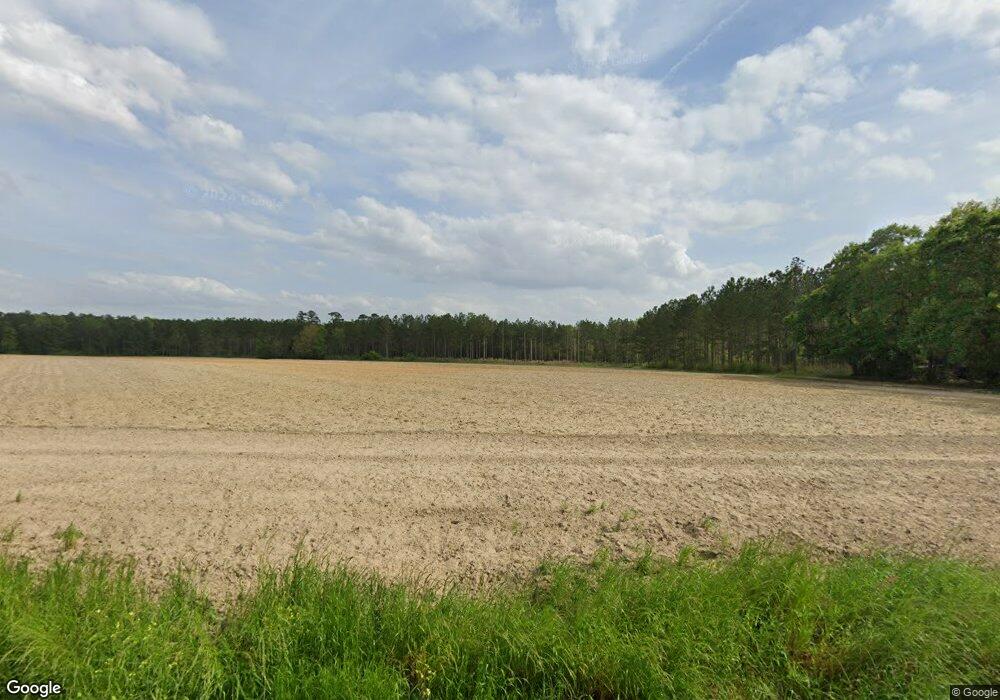 102 Old Egg Rd, Cairo, GA 39827 - photo 1