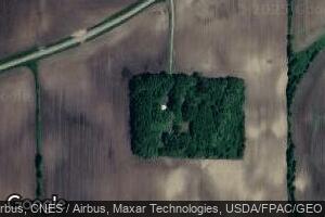 72391 290th St, Hartland, MN 56042