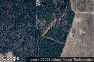 68 Mangham Rd, Reynolds, GA 31076