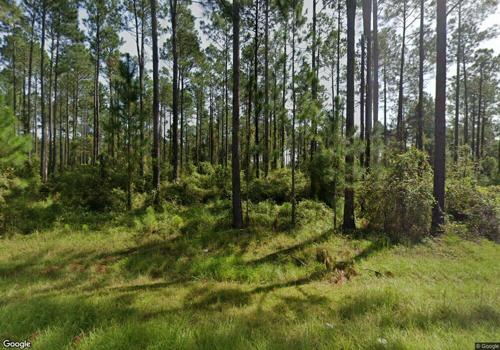 4169 Laura Chapel Rd, Patterson, GA 31557 - photo 1