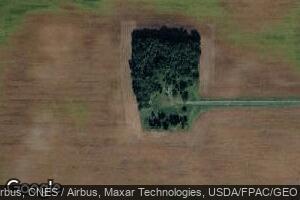 67255 410th St, Franklin, MN 55333