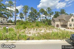 323 E Arrowleaf Ln, Elgin, SC 29045