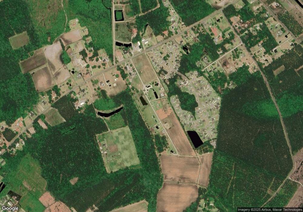 21 Elvis Farm Rd, Conway, SC 29526 - photo 1