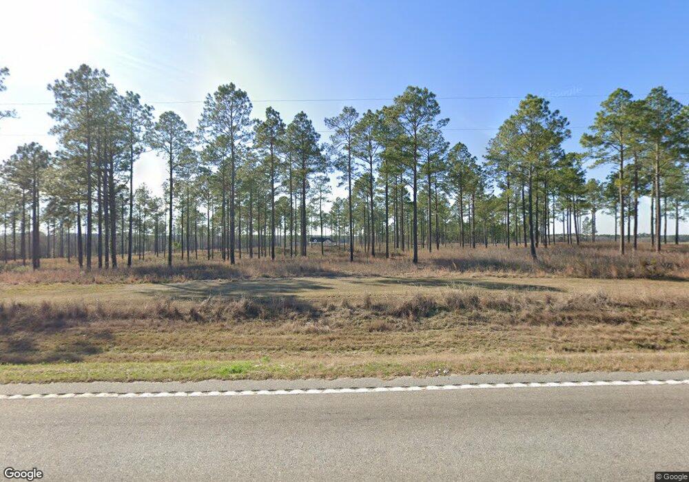 14191 Ga Highway 202, Ochlocknee, GA 31773 - photo 1