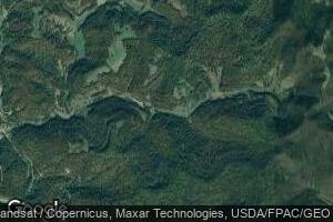 593 Blown Timber Rd, Newton, WV 25266
