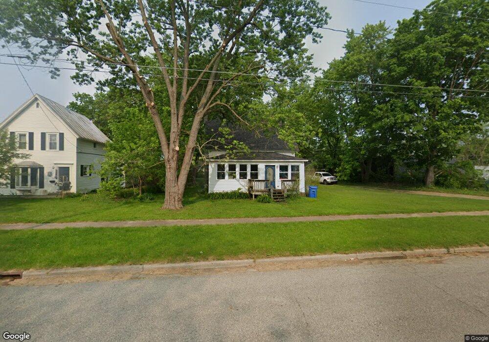 132 S Pleasant St, Lowell, MI 49331 - photo 1