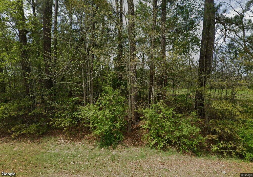 1127 Bold Springs Rd, Cairo, GA 39828 - photo 1