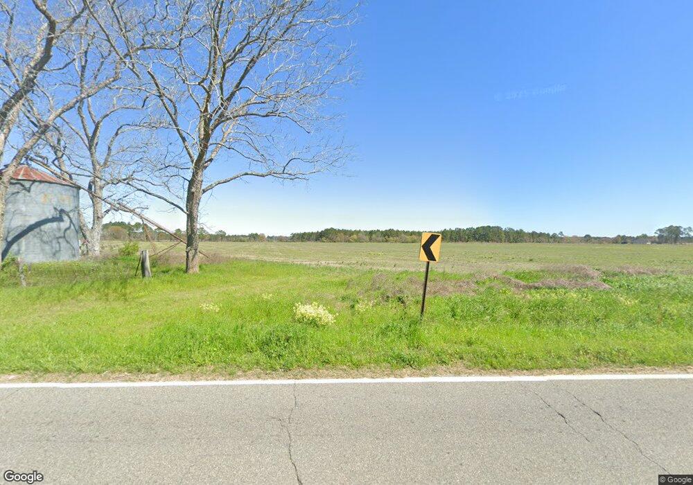 1111 Judge Lott Rd, Lenox, GA 31637 - photo 1