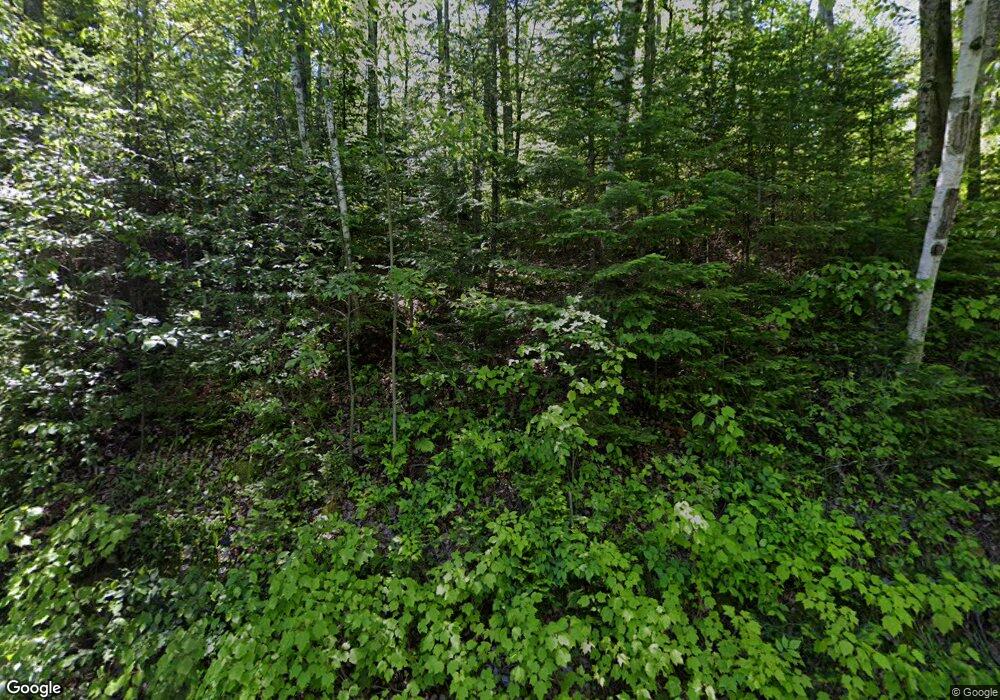 W10506 Bogus Rd, Deerbrook, WI 54424 - photo 1