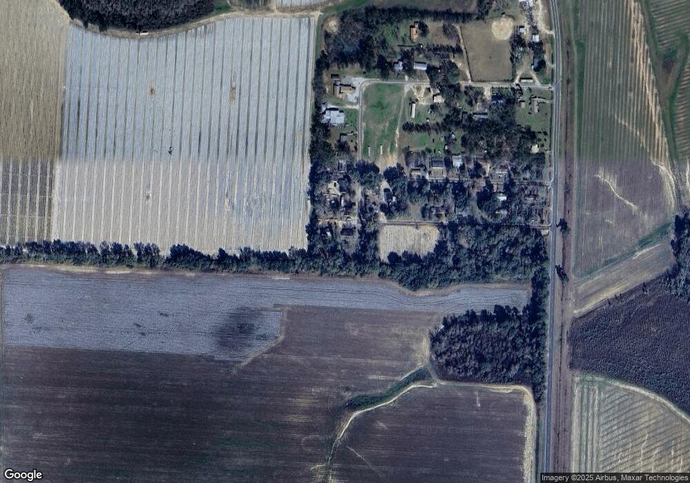 137 Andrews Rd, Attapulgus, GA 39815 - photo 1