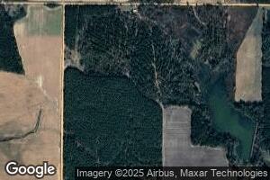 29 Mckinney Rd, Pineview, GA 31071