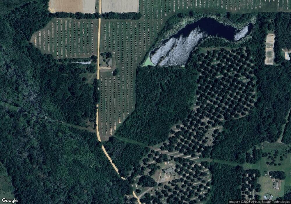 193 Quart Douglas Rd, Alma, GA 31510 - photo 1