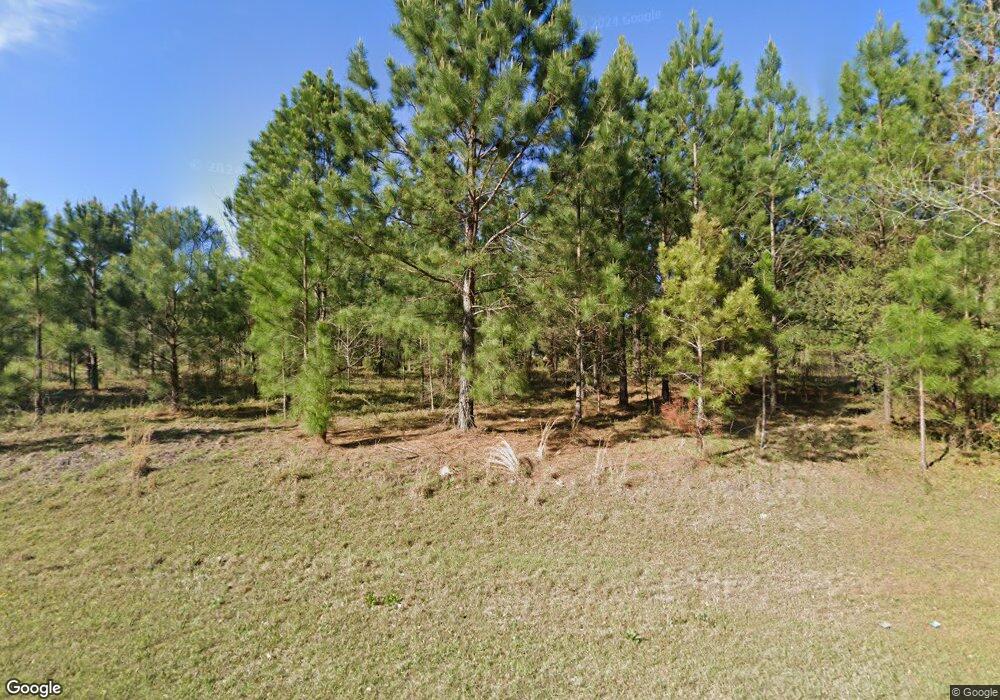 2923 Edgar Hodges Rd, Claxton, GA 30417 - photo 1