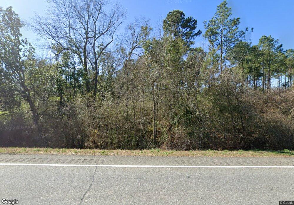 1209 Us Highway 19, Meigs, GA 31765 - photo 1