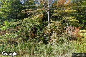 Lot #2 Goose Pond Rd, Tyringham, MA 01264