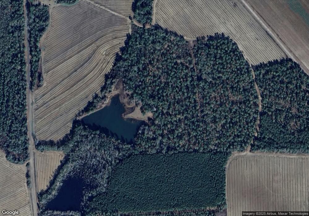 2211 Old Newton Rd, Pelham, GA 31779 - photo 1