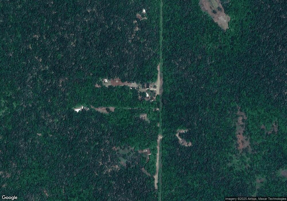 10304 Lewis Rd, Vanderbilt, MI 49795 - photo 1