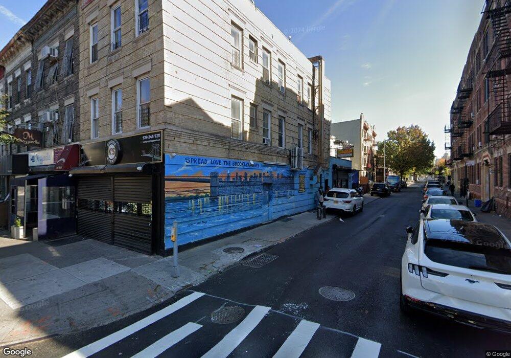 267 Troy Ave unit HOUSE, Brooklyn, NY 11213 - photo 1