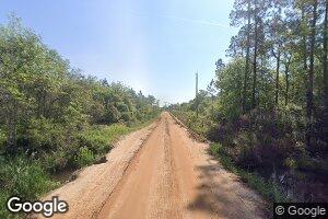 49.73 AC No County Line Rd, Rebecca, GA 31783