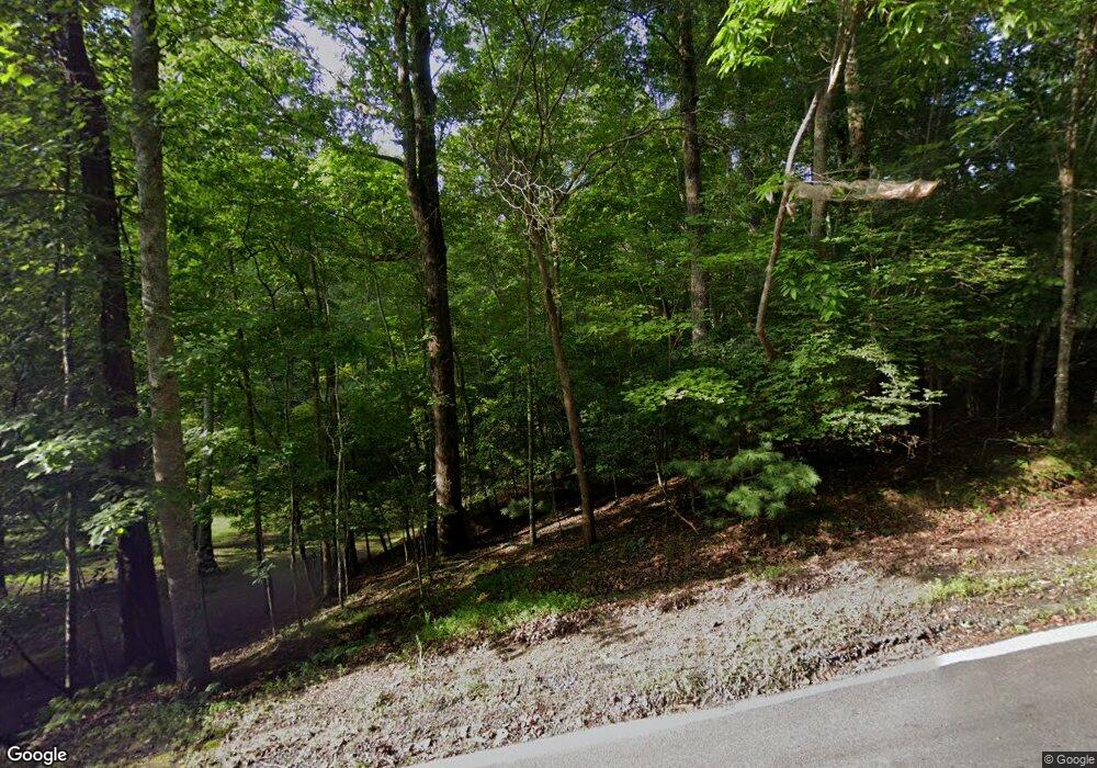 385 Indigo Dr, Ellijay, GA 30540 - photo 1