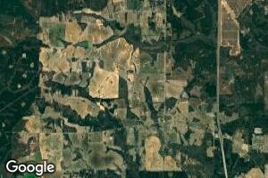 Lot 20 Hodge Rd, Elko, GA 31025