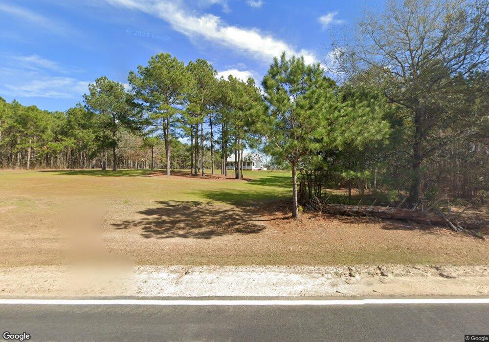 2176 Mitchell County Line Rd, Hartsfield, GA 31756 - photo 1