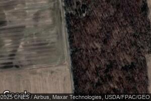 9960 Township Rd 138, Ridgeway, OH 43345