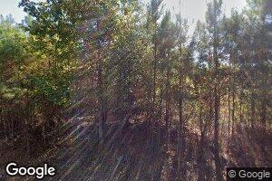 290 Pleasant Hill Cemetery Rd, Plain Dealing, LA 71064