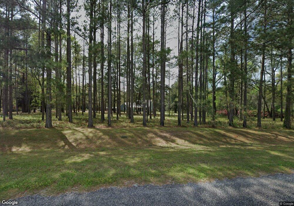 1076 Ulmer Rd, Whigham, GA 39897 - photo 1