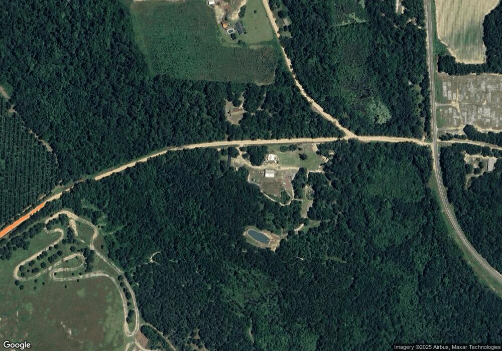 836 Cedar Grove Rd, Climax, GA 39834 - photo 1