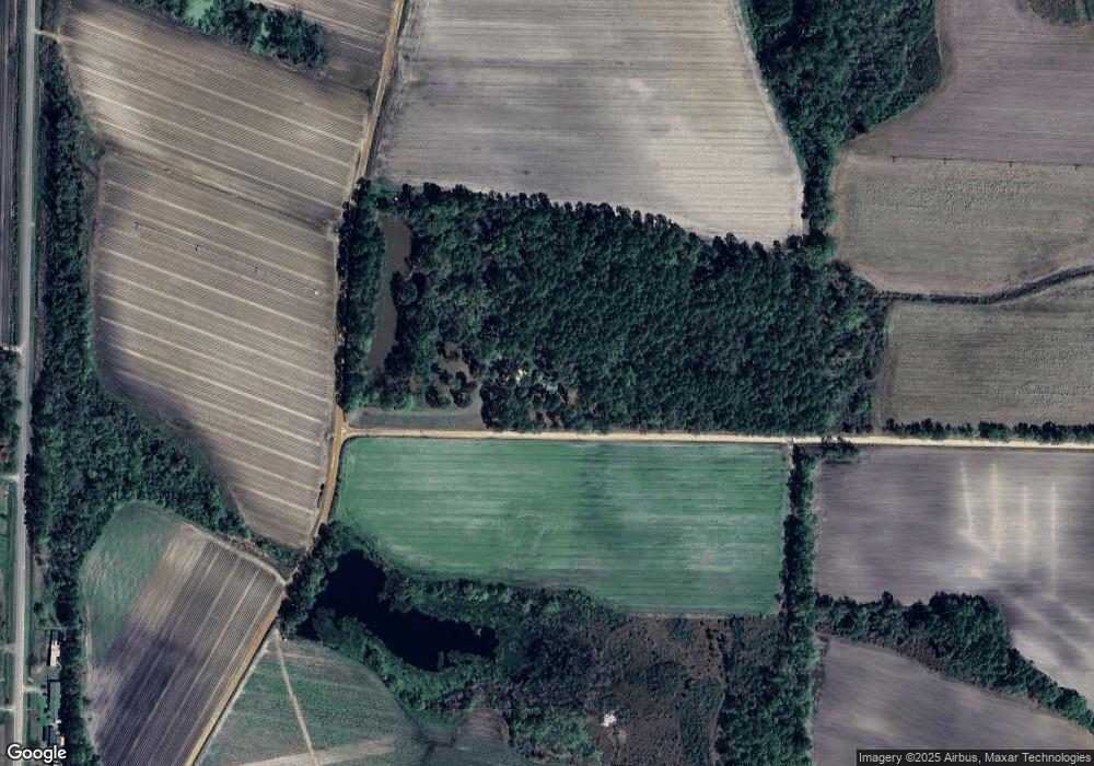 101 Osborne Griner Rd, Lenox, GA 31637 - photo 1