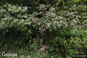 478 Ream Rd, Welch, WV 24801