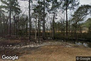 553 Mt Carmel Church Rd, Alamo, GA 30411