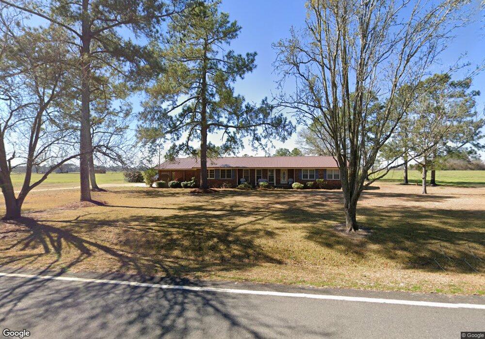 31281 Ga Highway 3, Meigs, GA 31765 - photo 1