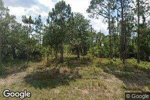 2003 Wellington Ave, Alva, FL 33920