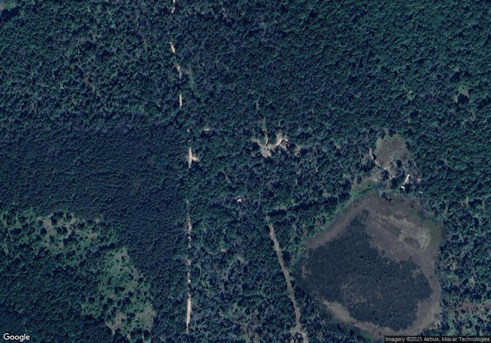 12350 N Bingham Ave, Bitely, MI 49309 - photo 1