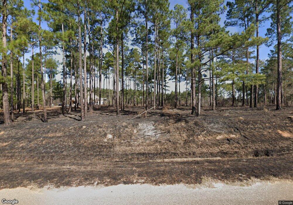 1337 George Ethridge Rd, Lenox, GA 31637 - photo 1