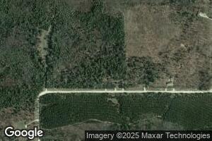 W15902 Sandtown Rd, Curtis, MI 49820
