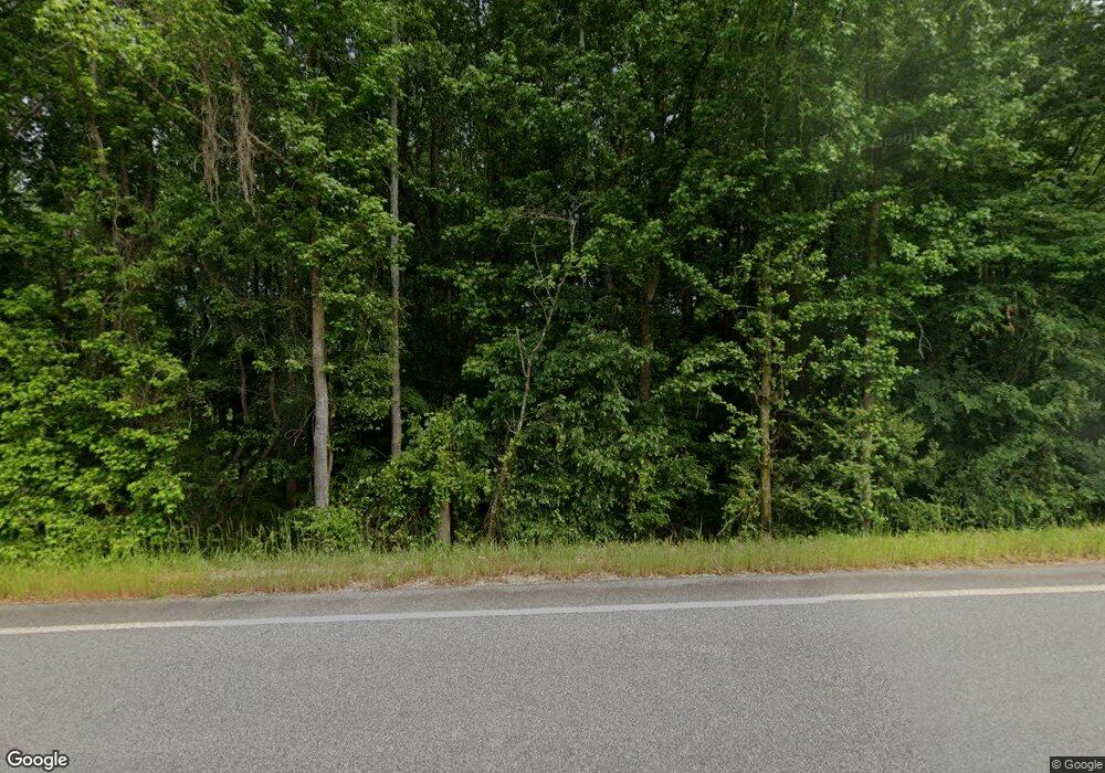 1603 Turkey Creek Rd, Carnesville, GA 30521 - photo 1