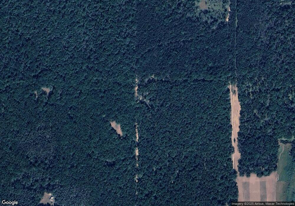 10374 N Centerline Rd, Bitely, MI 49309 - photo 1