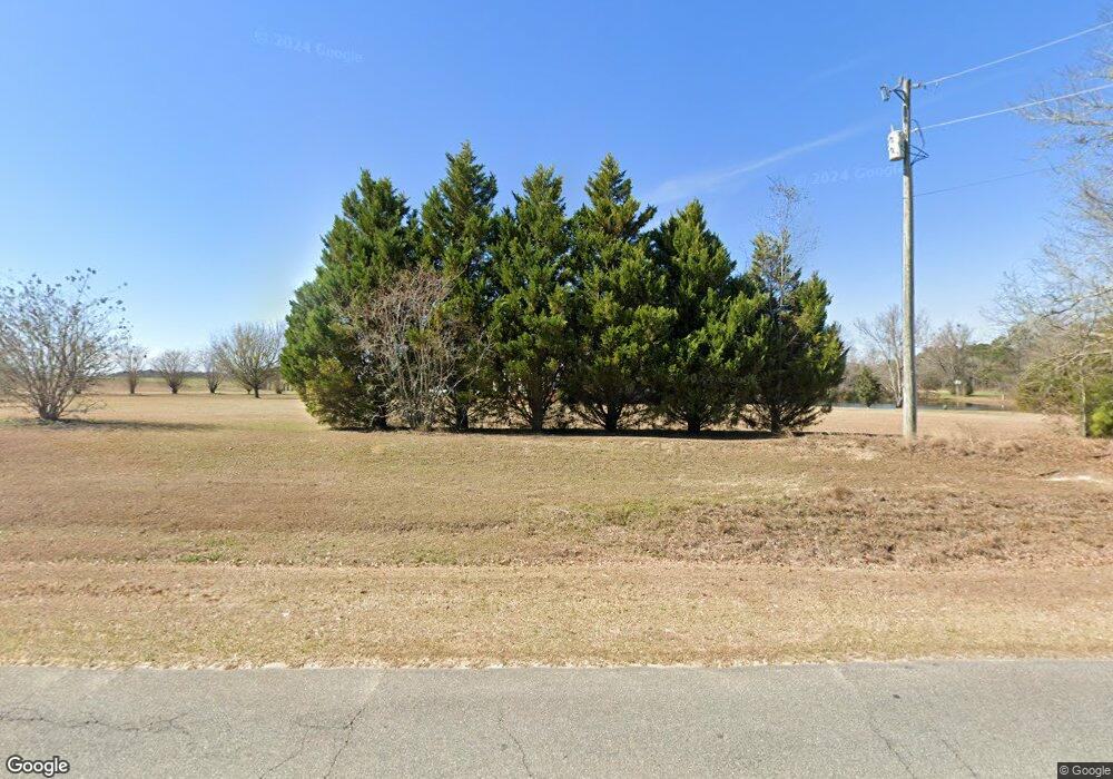 3199 Spence Rd, Pelham, GA 31779 - photo 1