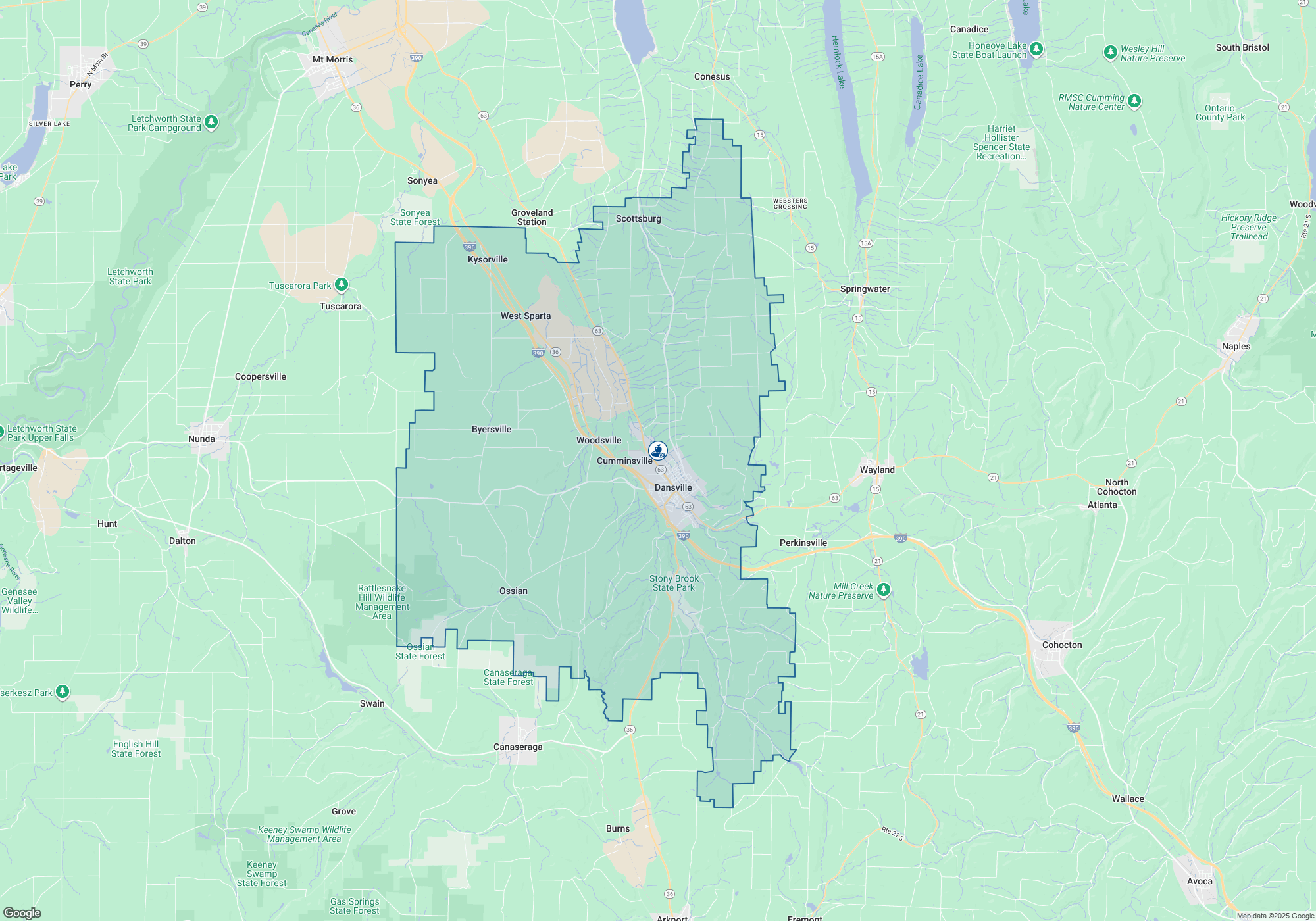 Dansville Primary School, Rankings & Reviews