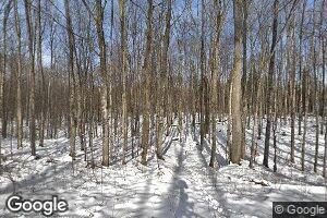 10038 Lewis Rd, Vanderbilt, MI 49795