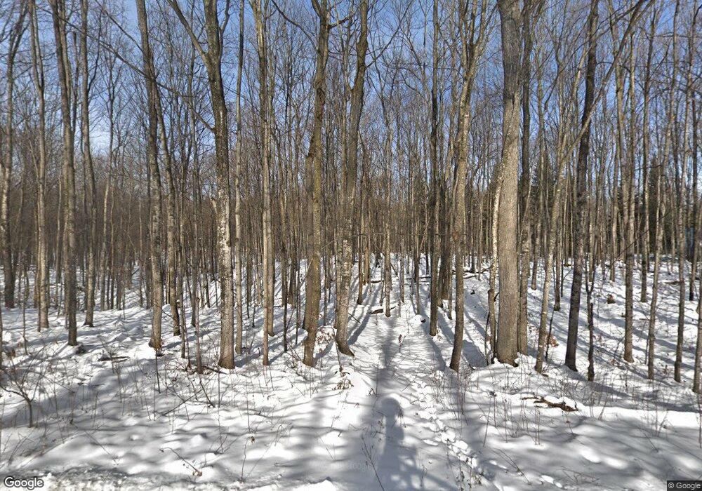 10038 Lewis Rd, Vanderbilt, MI 49795 - photo 1