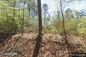 253 Colvin Rd, Forsyth, GA 31029