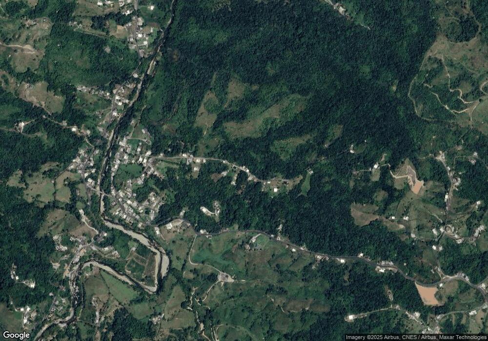 KM 3 HM 0 Cayaguas Ward Rd Carlos Diaz, San Lorenzo, PR 00754 - photo 1