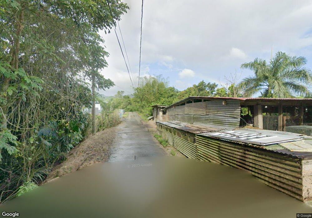 Cayaguas KM 3 HM 0 Camino Carlos Diaz Rd, San Lorenzo, PR 00754 - photo 1