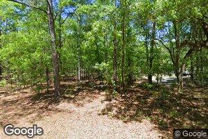 206 Jimsonweed Ln, Cordesville, SC 29434